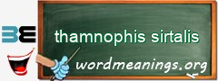 WordMeaning blackboard for thamnophis sirtalis